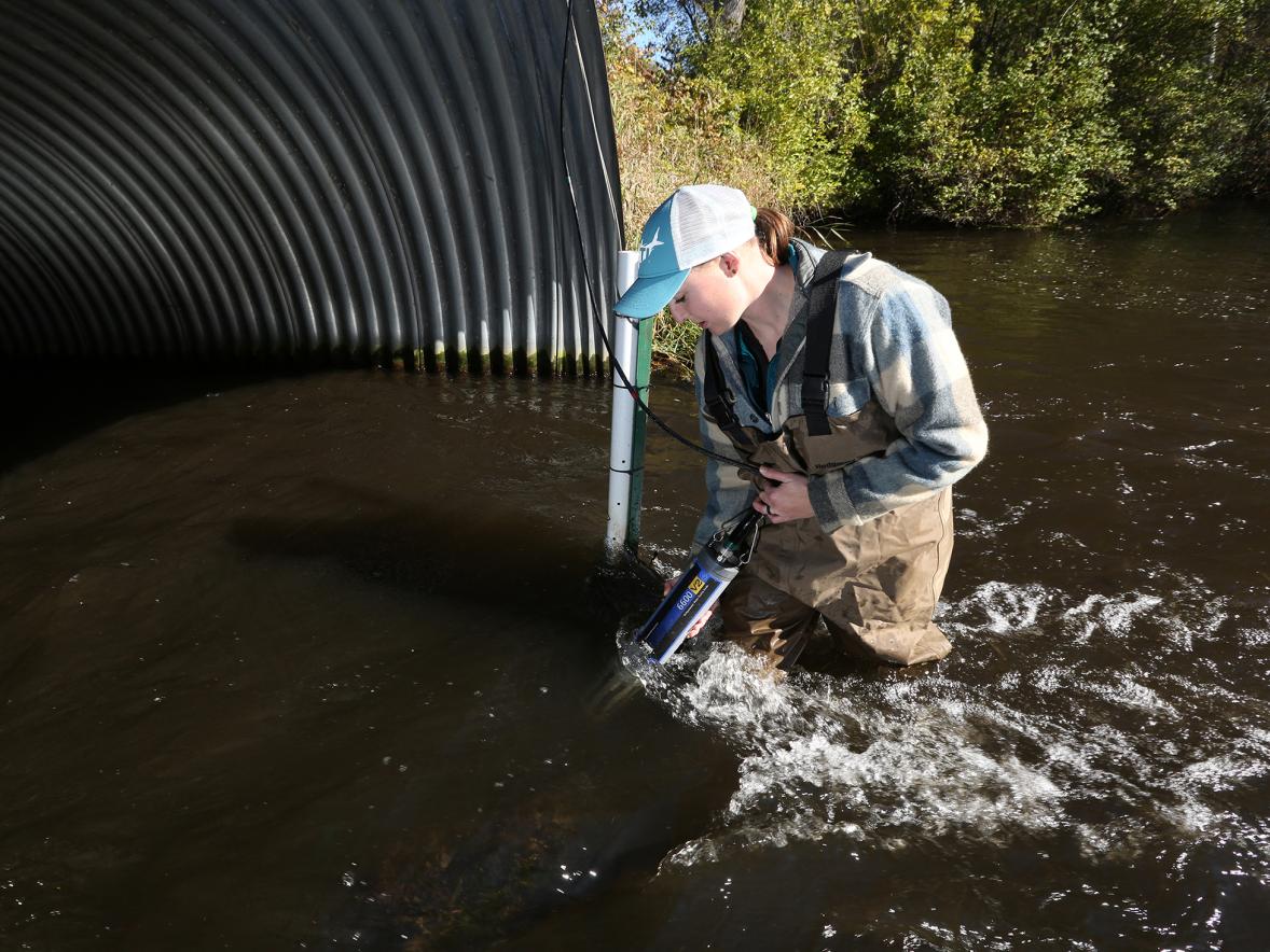 A UW-Stout student checks the water clarity of Cedar Lake in Star Prairie for the university’s Center for Limnological Research and Rehabilitation.