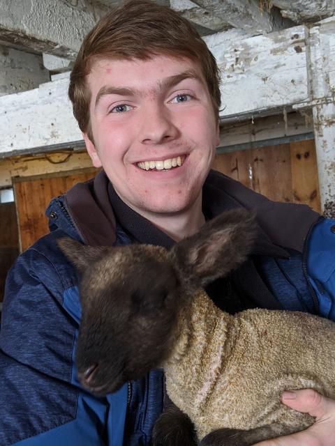 Nathan Thompson, first-year double-major in applied science and mechanical engineering, at home with his lambs.